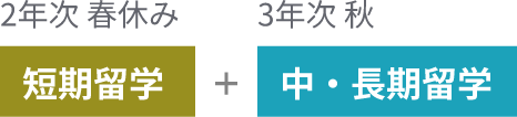 2年次春休み 短期留学 + 3年次秋 中・長期留学