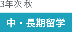 3年次秋 中・長期留学