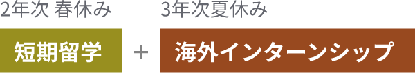 2年次春休み 短期留学 + 3年次夏休み 海外インターンシップ