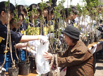 ライラックの苗木配付