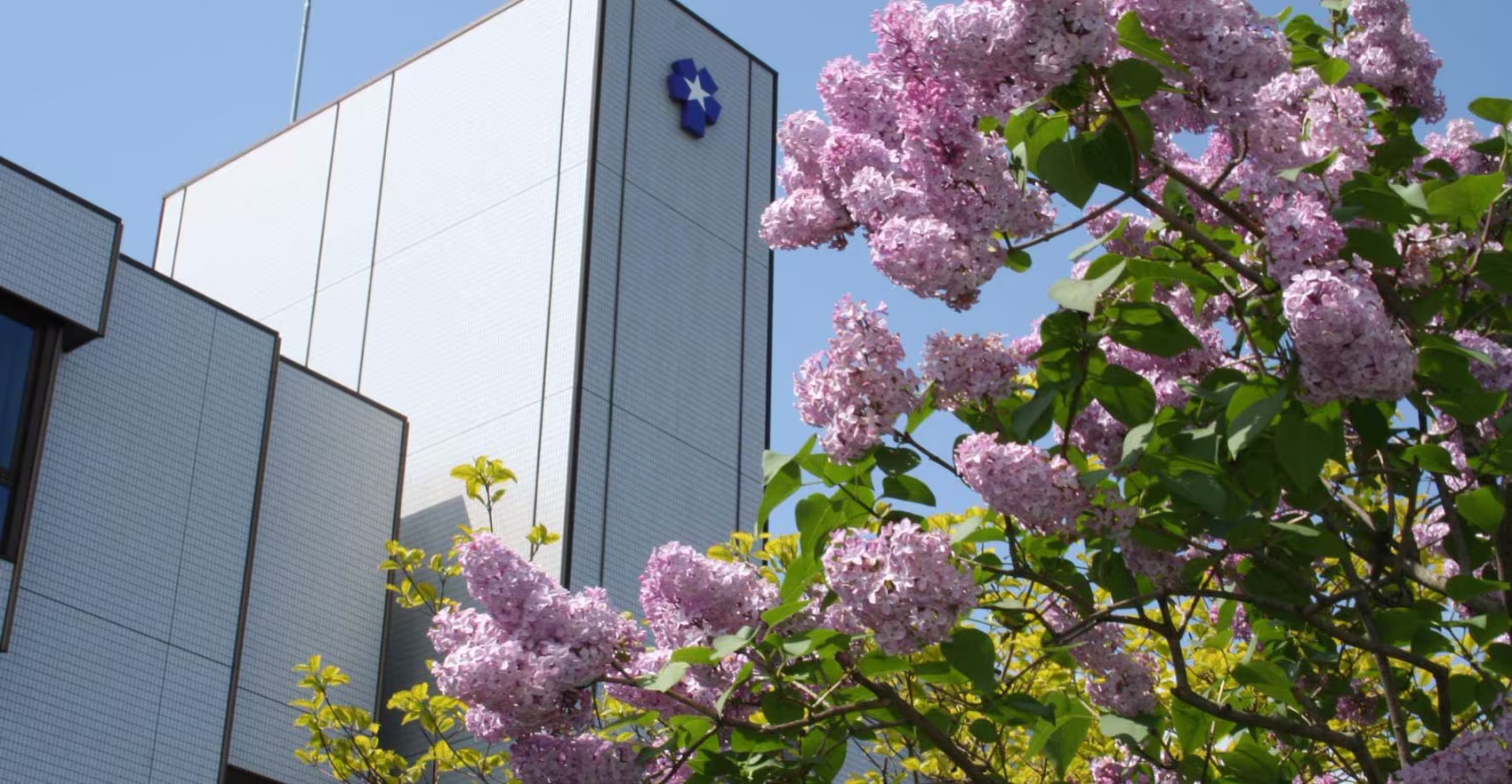北星学園大学の校舎とライラックの花