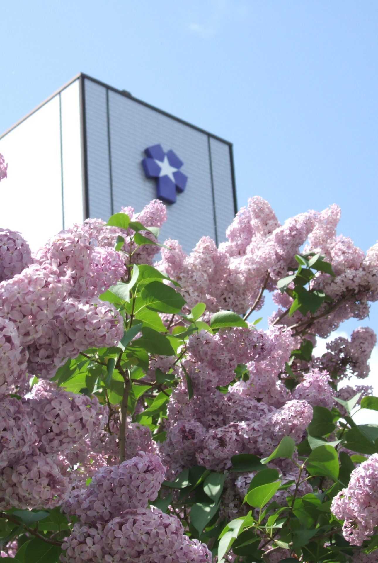 入学者選抜について（予告）