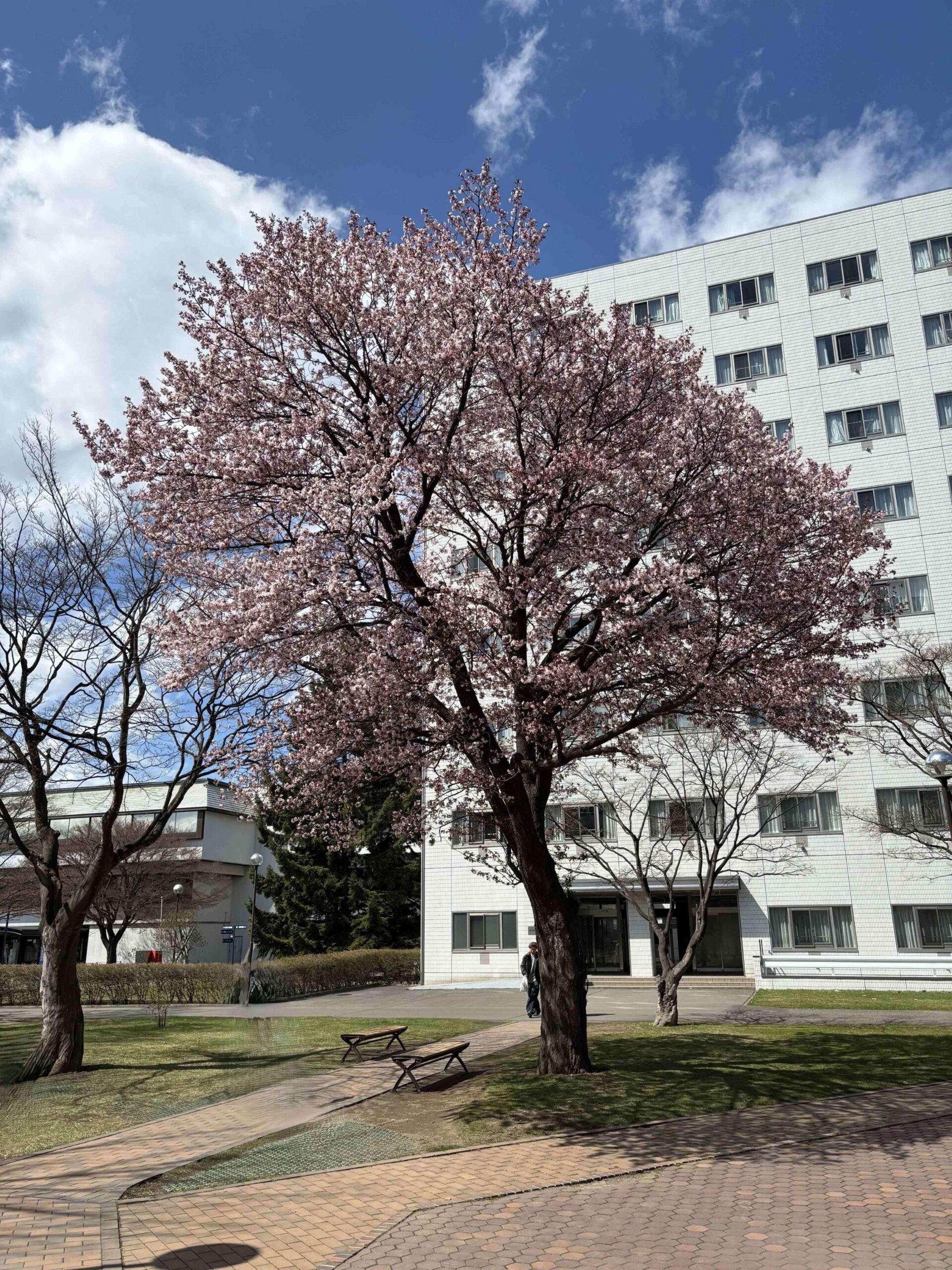 SW実践を知る：臨時講師による講話がスタート