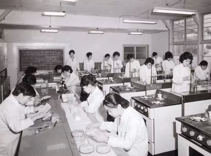 家政科 授業の様子